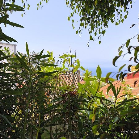 Casa Flora Garden Studio 绍萨尔 外观 照片