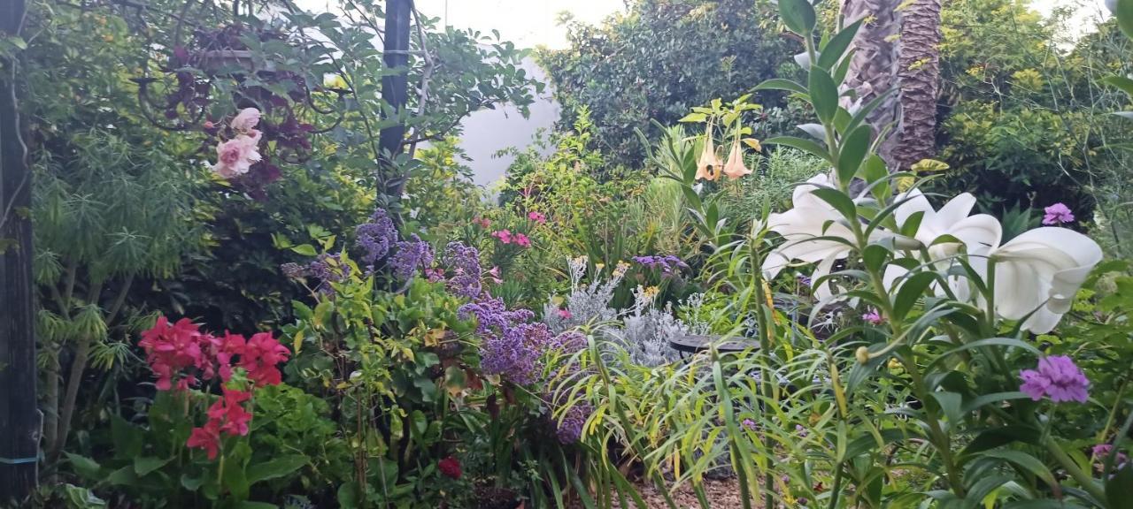 Casa Flora Garden Studio 绍萨尔 外观 照片