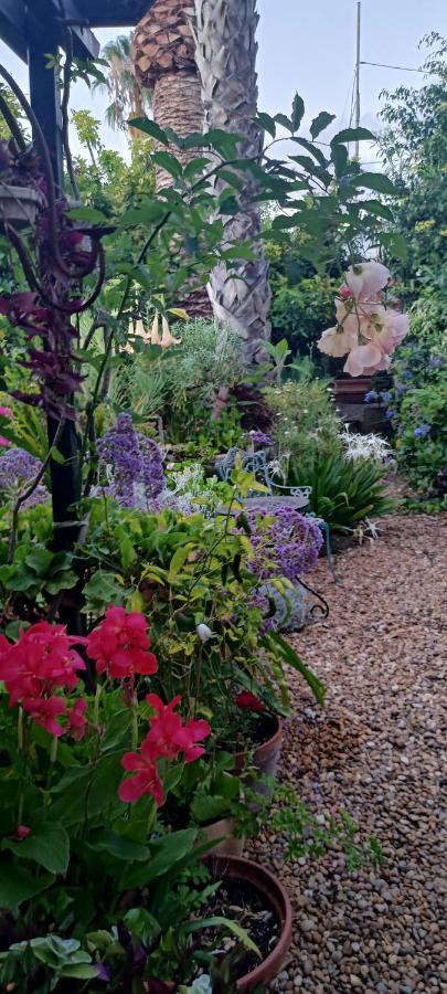 Casa Flora Garden Studio 绍萨尔 外观 照片