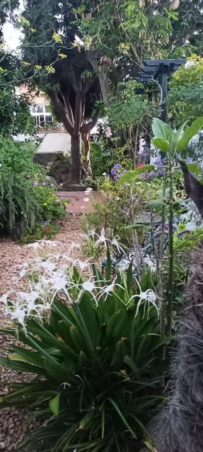 Casa Flora Garden Studio 绍萨尔 外观 照片