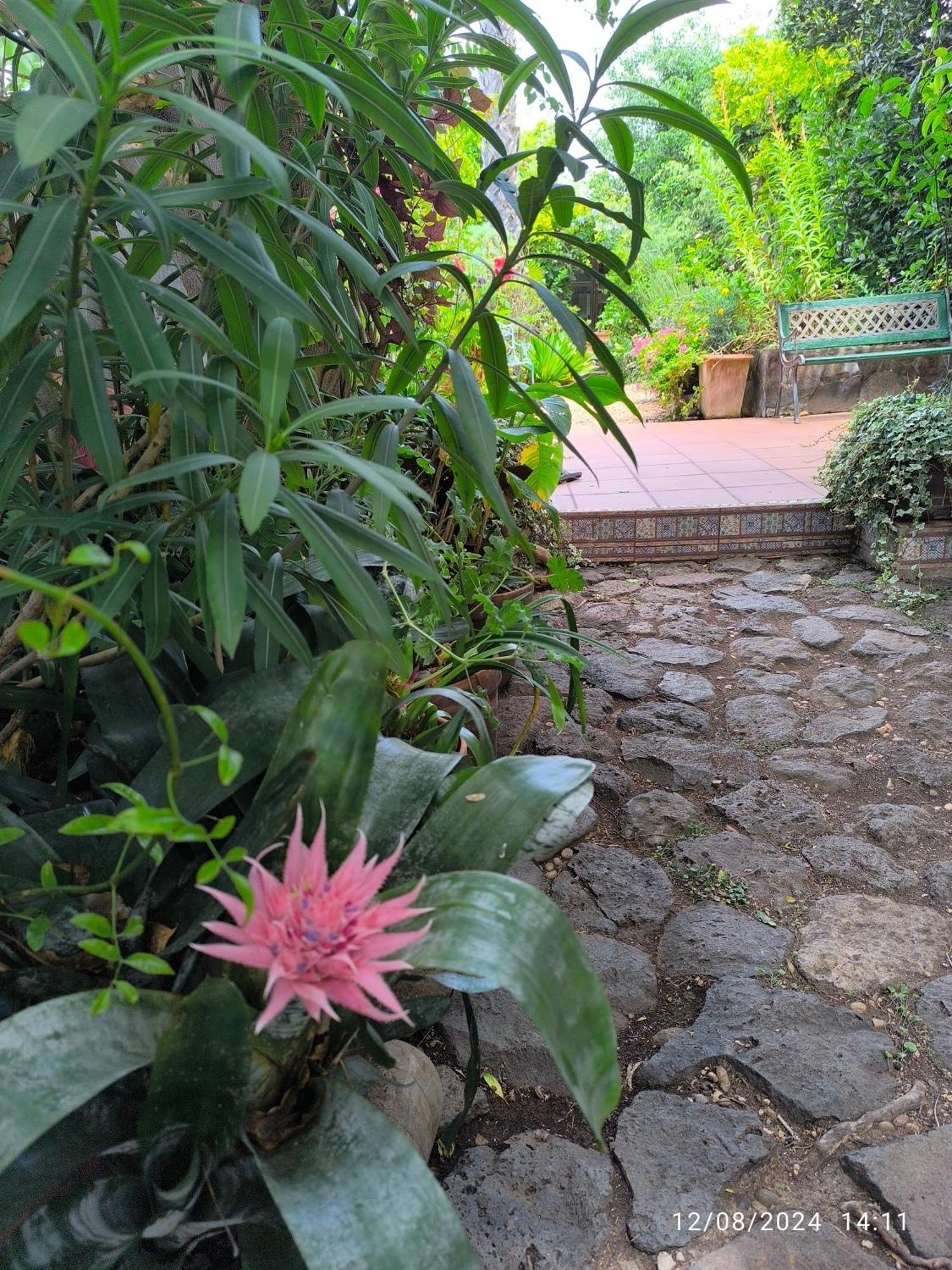 Casa Flora Garden Studio 绍萨尔 外观 照片