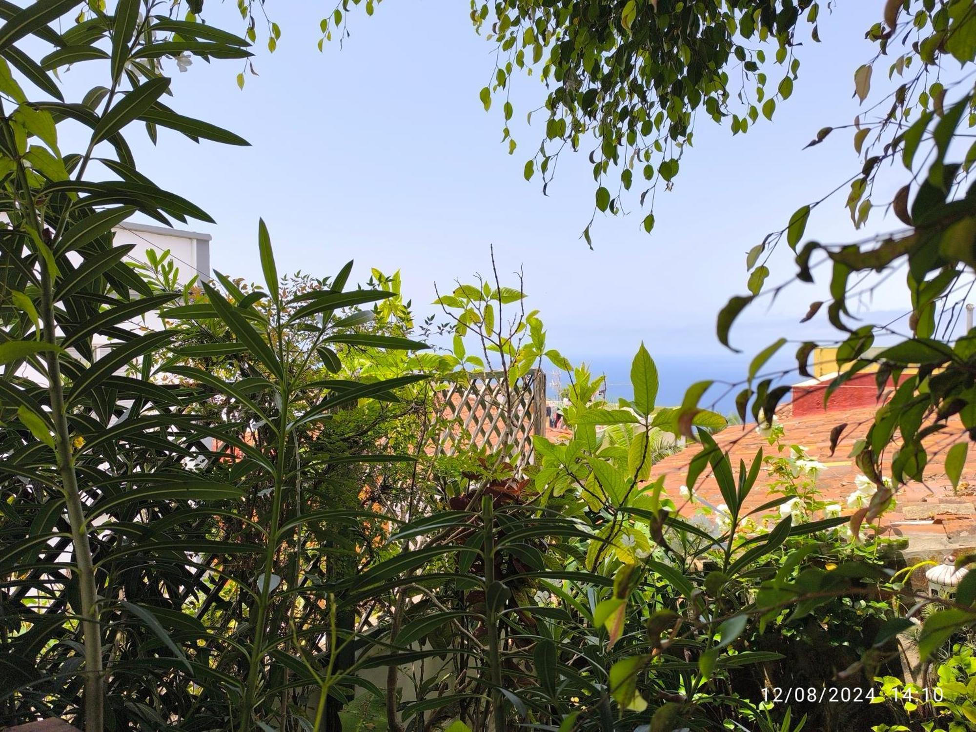 Casa Flora Garden Studio 绍萨尔 外观 照片
